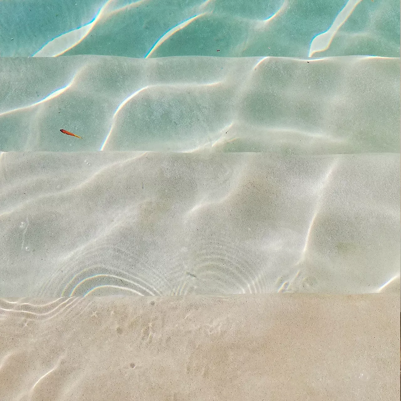 expertos en creacion de piscinas